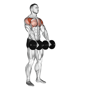 How to do Dumbbell Front Raise — animated demonstration