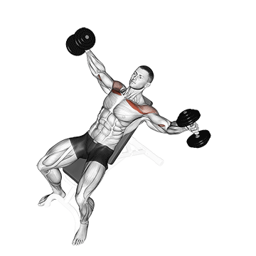 How to do Dumbbell Incline Breeding — animated demonstration
