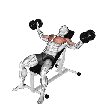 How to do Dumbbell Incline Fly — animated demonstration