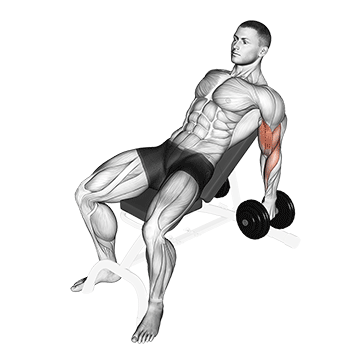 How to do Dumbbell Incline Hammer Curl — animated demonstration
