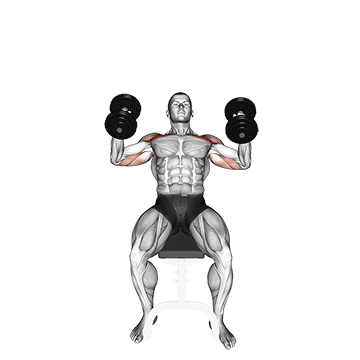 How to do Dumbbell Incline Hammer Press — animated demonstration