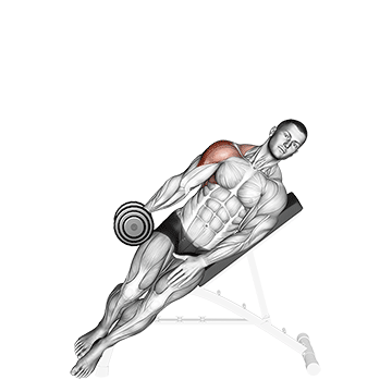 How to do Dumbbell Incline Single-Arm Lateral Raise — animated demonstration