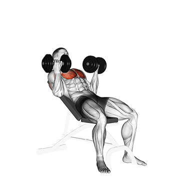 How to do Dumbbell Incline Palm-In Press — animated demonstration