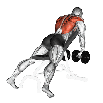 How to do Dumbbell Incline Row — animated demonstration