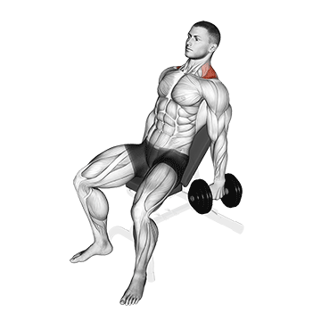 How to do Dumbbell Incline Shrug — animated demonstration