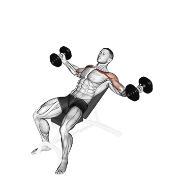 How to do Dumbbell Incline Twisted Flyes — animated demonstration
