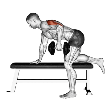 How to do Dumbbell Kickback — animated demonstration