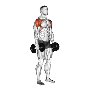 How to do Dumbbell Lateral to Front Raise — animated demonstration