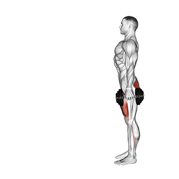 How to do Dumbbell Lunge — animated demonstration