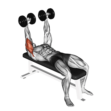 How to do Across-Face Dumbbell Triceps Extension — animated demonstration