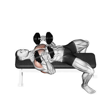 How to do Dumbbell Lying Elbow Press — animated demonstration