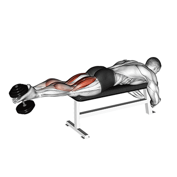 How to do Dumbbell Lying Femoral — animated demonstration