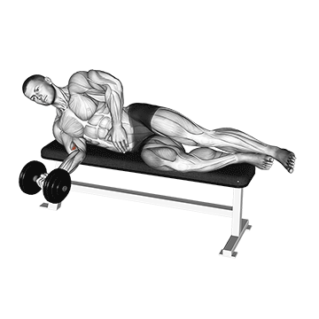 How to do Dumbbell Lying Pronation — animated demonstration