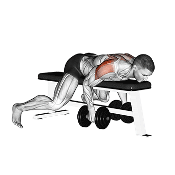 How to do Dumbbell Lying Rear Delt Raise — animated demonstration