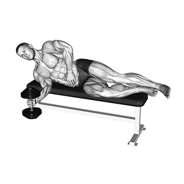 How to do Dumbbell Lying Supination — animated demonstration