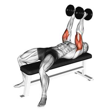 How to do Dumbbell Neutral-Grip Bench Press — animated demonstration