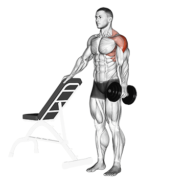 How to do Supported Single-Arm Dumbbell Lateral Raise — animated demonstration