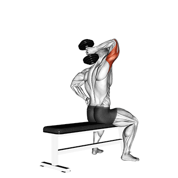 How to do Single-Arm Seated Dumbbell Triceps Extension — animated demonstration