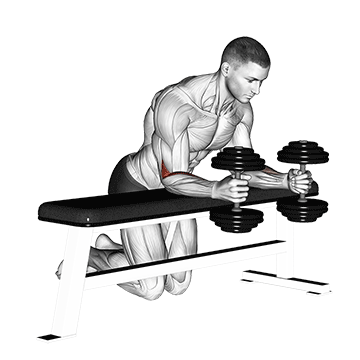 How to do Neutral-Grip Dumbbell Wrist Curl on Bench — animated demonstration