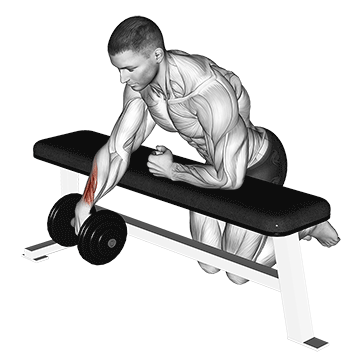 How to do Single-Arm Dumbbell Wrist Curl on Bench — animated demonstration