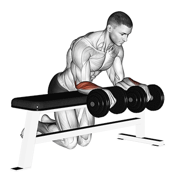 How to do Dumbbell Wrist Curl on Bench — animated demonstration