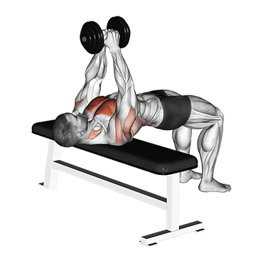 How to do Dumbbell Pullover — animated demonstration