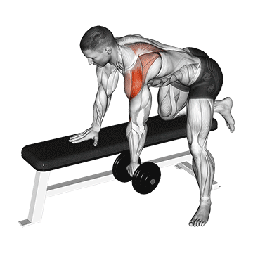 How to do Dumbbell Rear Delt Row — animated demonstration