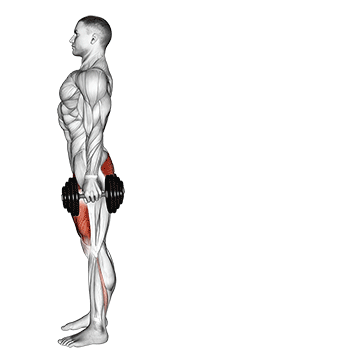 How to do Dumbbell Rear Lunge — animated demonstration