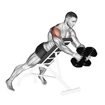 How to do Dumbbell Reverse Fly — animated demonstration