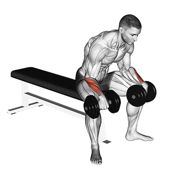 How to do Dumbbell Reverse Wrist Curl — animated demonstration