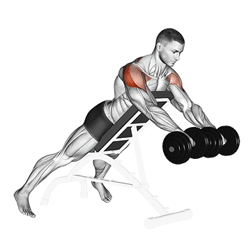How to do Dumbbell Rotation Reverse Fly — animated demonstration