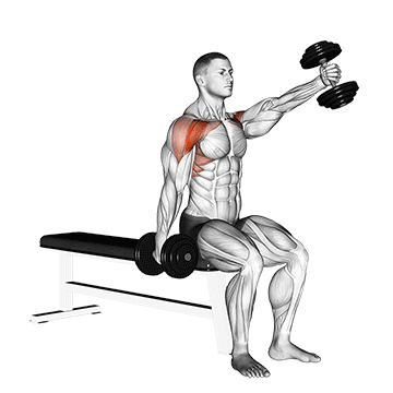 How to do Dumbbell Seated Alternating Front Raise — animated demonstration