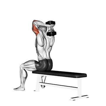 How to do Dumbbell Seated Bench Extension — animated demonstration
