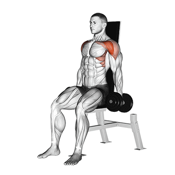How to do Dumbbell Seated Front Raise — animated demonstration