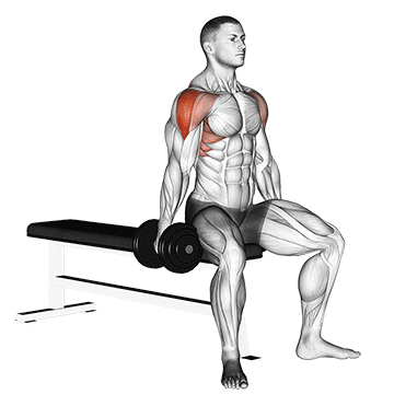 How to do Dumbbell Seated Lateral Raise — animated demonstration