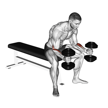 How to do Dumbbell Seated Neutral-Grip Wrist Curl — animated demonstration