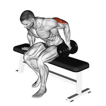 How to do Dumbbell Seated Single-Arm Kickback — animated demonstration