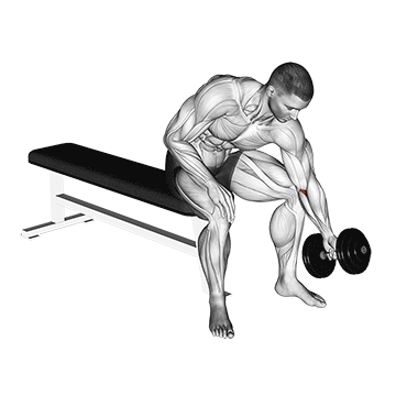 How to do Single-Arm Seated Dumbbell Forearm Rotation — animated demonstration