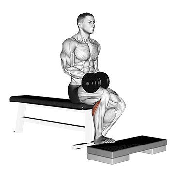 How to do Dumbbell Seated Single-Leg Calf Raise — animated demonstration