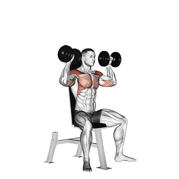 How to do Dumbbell Seated Shoulder Press — animated demonstration
