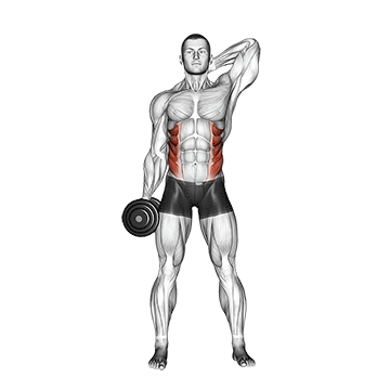 How to do Dumbbell Side Bend — animated demonstration