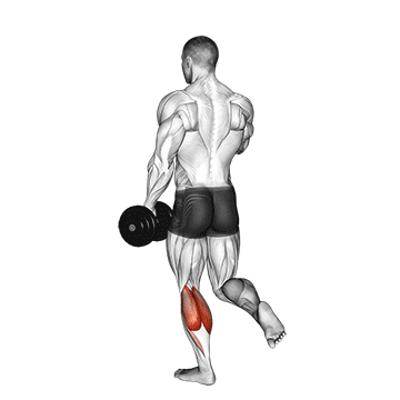 How to do Dumbbell Single-Leg Calf Raise — animated demonstration