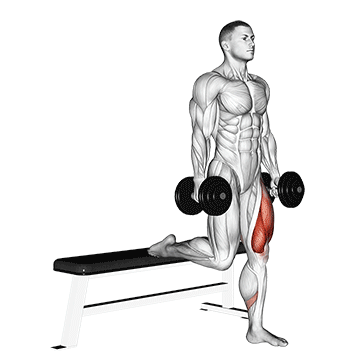 How to do Dumbbell Bulgarian Split Squat — animated demonstration