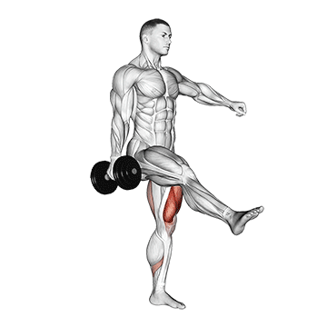 How to do Dumbbell Single-Leg Squat — animated demonstration