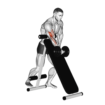 How to do Single-Arm Incline Bench Dumbbell Curl — animated demonstration