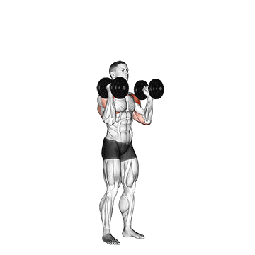 How to do Neutral-Grip Standing Dumbbell Press — animated demonstration