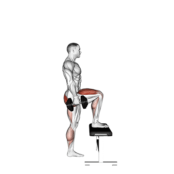 How to do Dumbbell Step-Up — animated demonstration