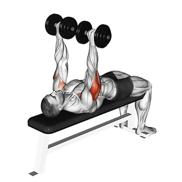 How to do Dumbbell Tate Press — animated demonstration