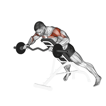 How to do EZ-Bar Anti Gravity Press — animated demonstration
