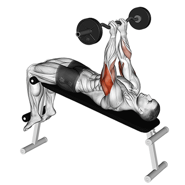 How to do EZ-Bar Decline Close-Grip Face Press — animated demonstration
